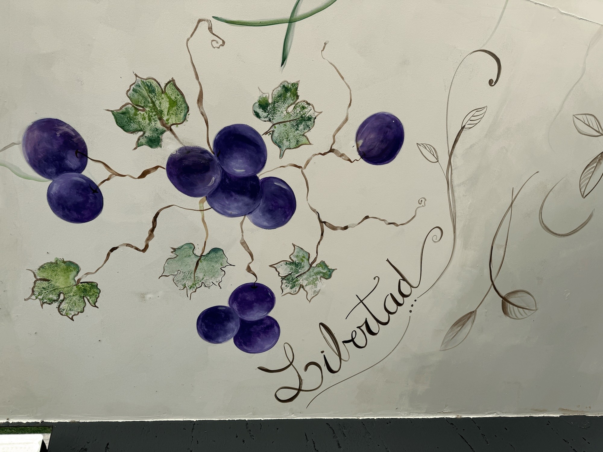 Hand-painted grapevines and the word Libertad on a ceiling at Grazie Mille in La Consulta