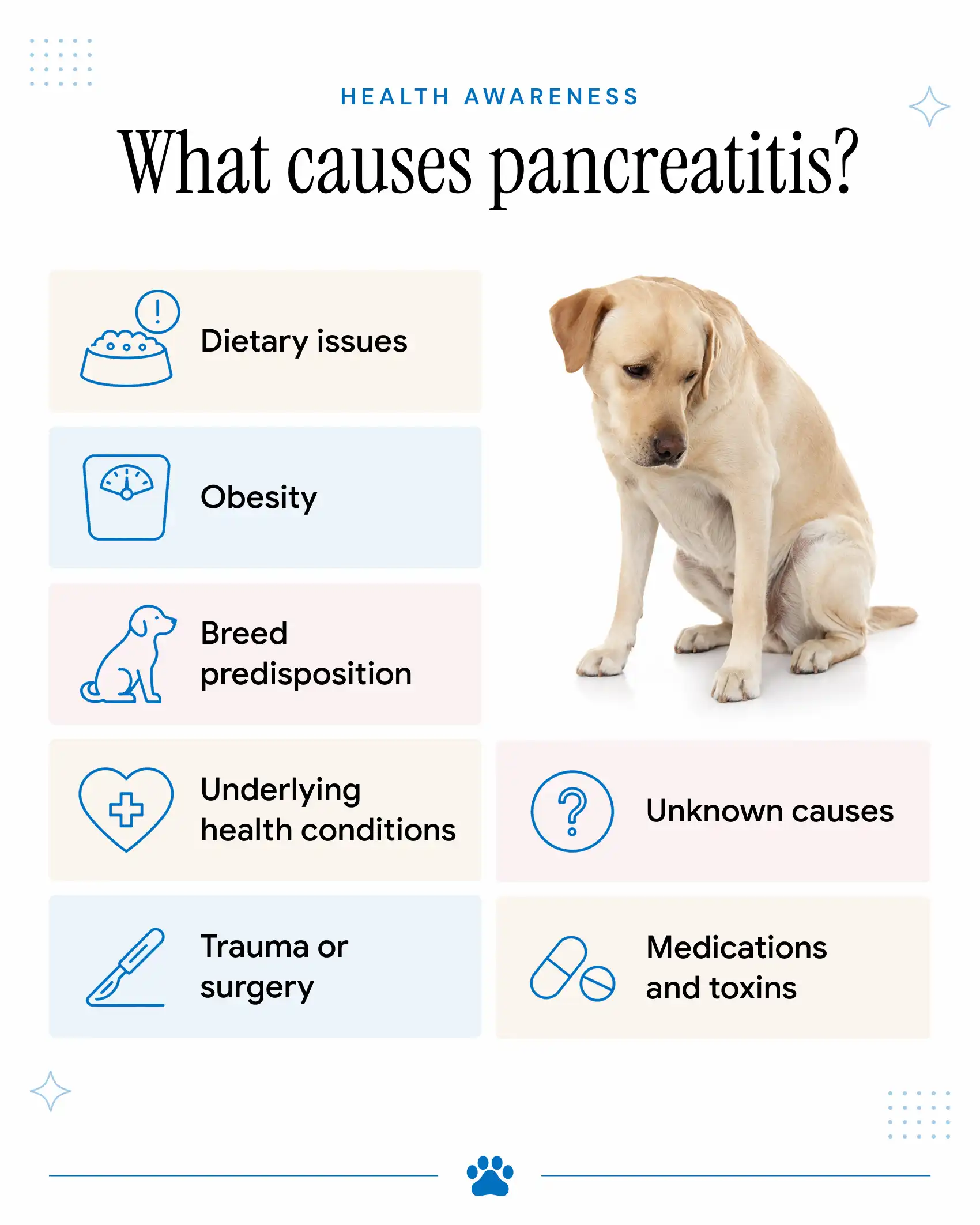 An infographic showing the causes of pancreatitis in dogs.