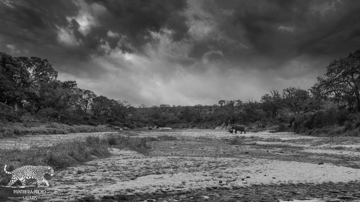 Kambaku River Lodge Aug 2023 Trip Report