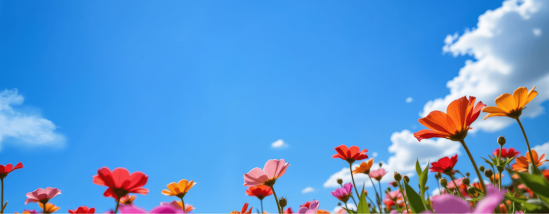 bg-pagetitle-image