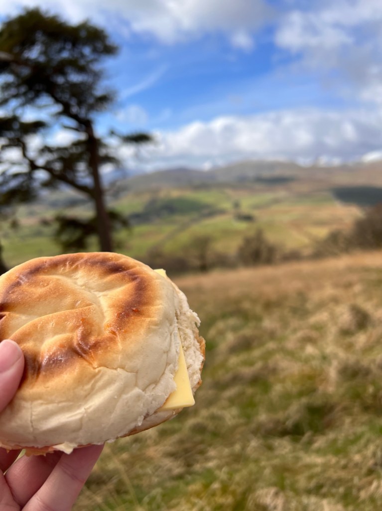 A cheese and ham sandwich (in a soft white roll).