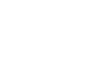 Berkshire Hathaway white logo