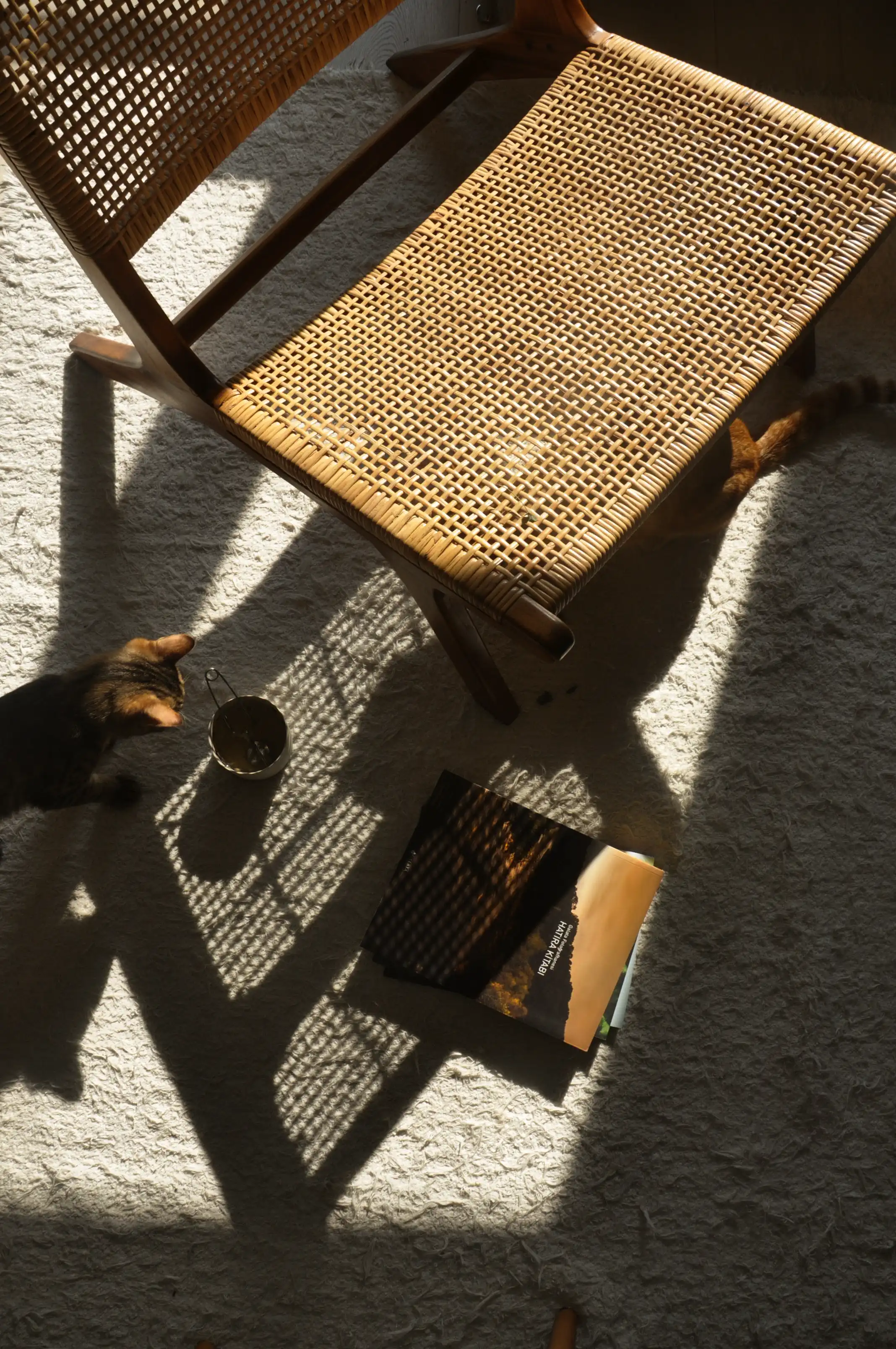 A close-up image of a chair