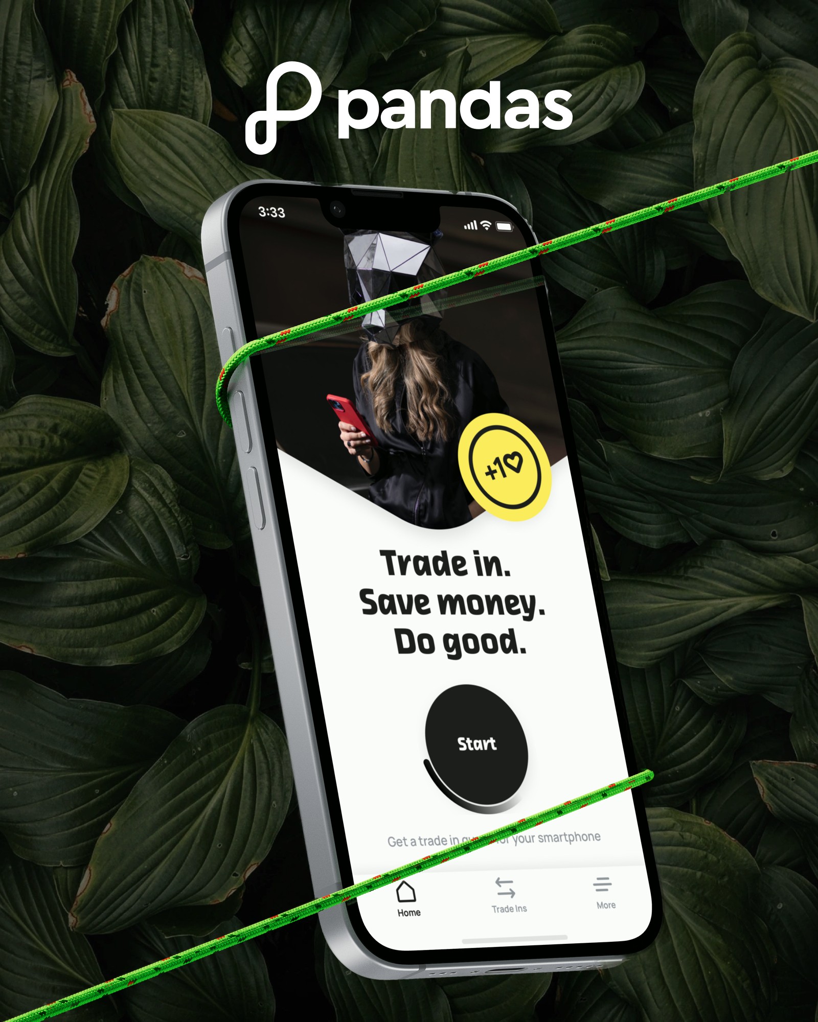 Pandas mobile app showing a call to action to start smartphone grading