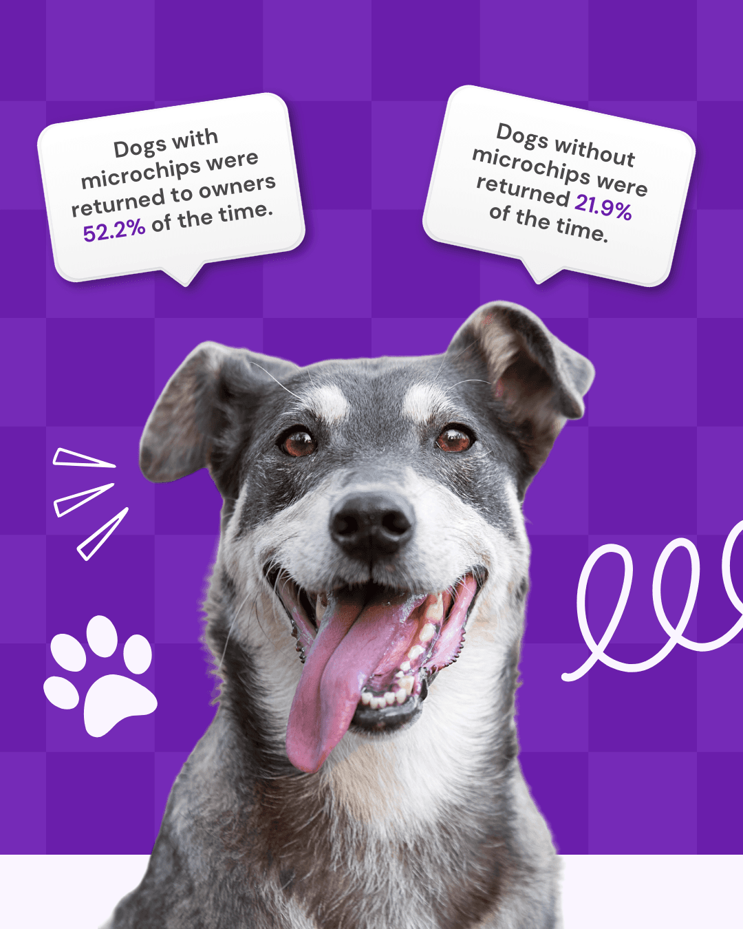 National Microchipping Month