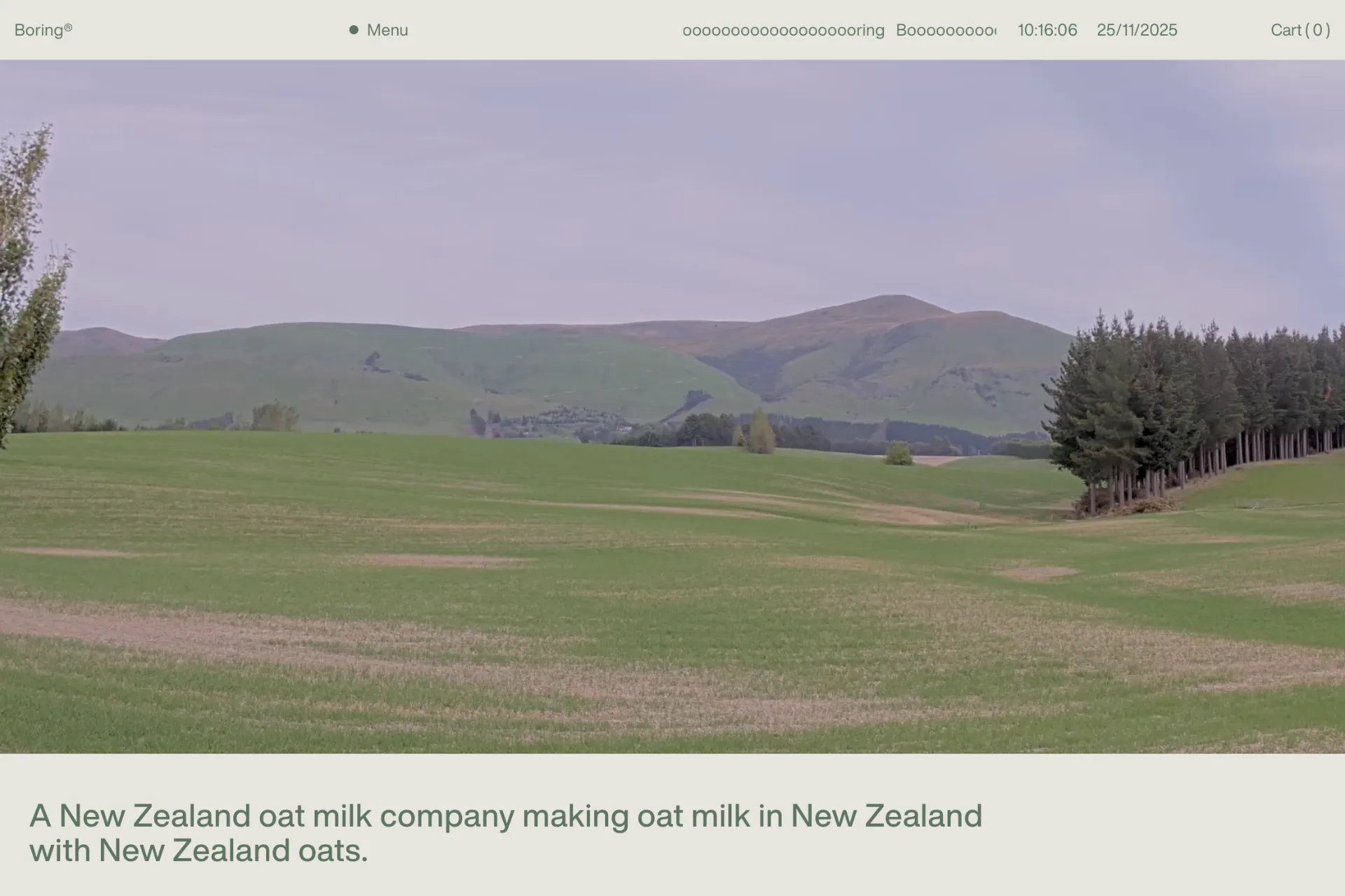 Screenshot of Boring website