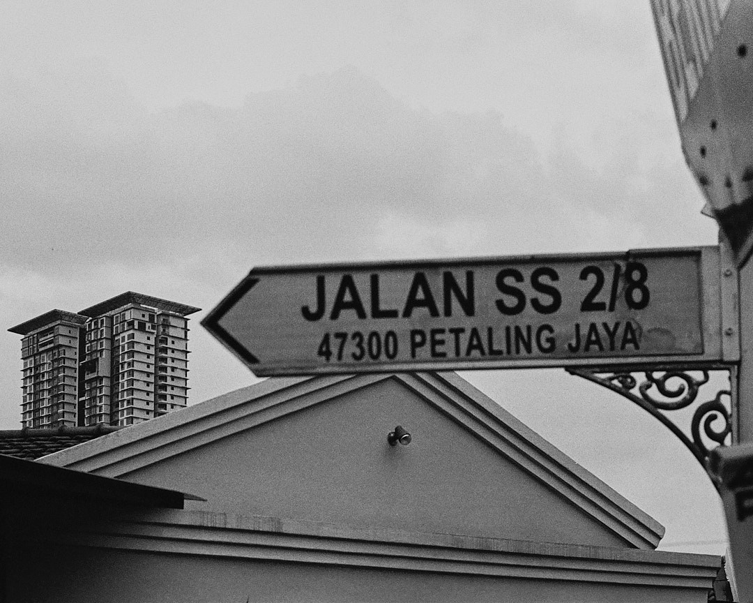 optimization for google business profile