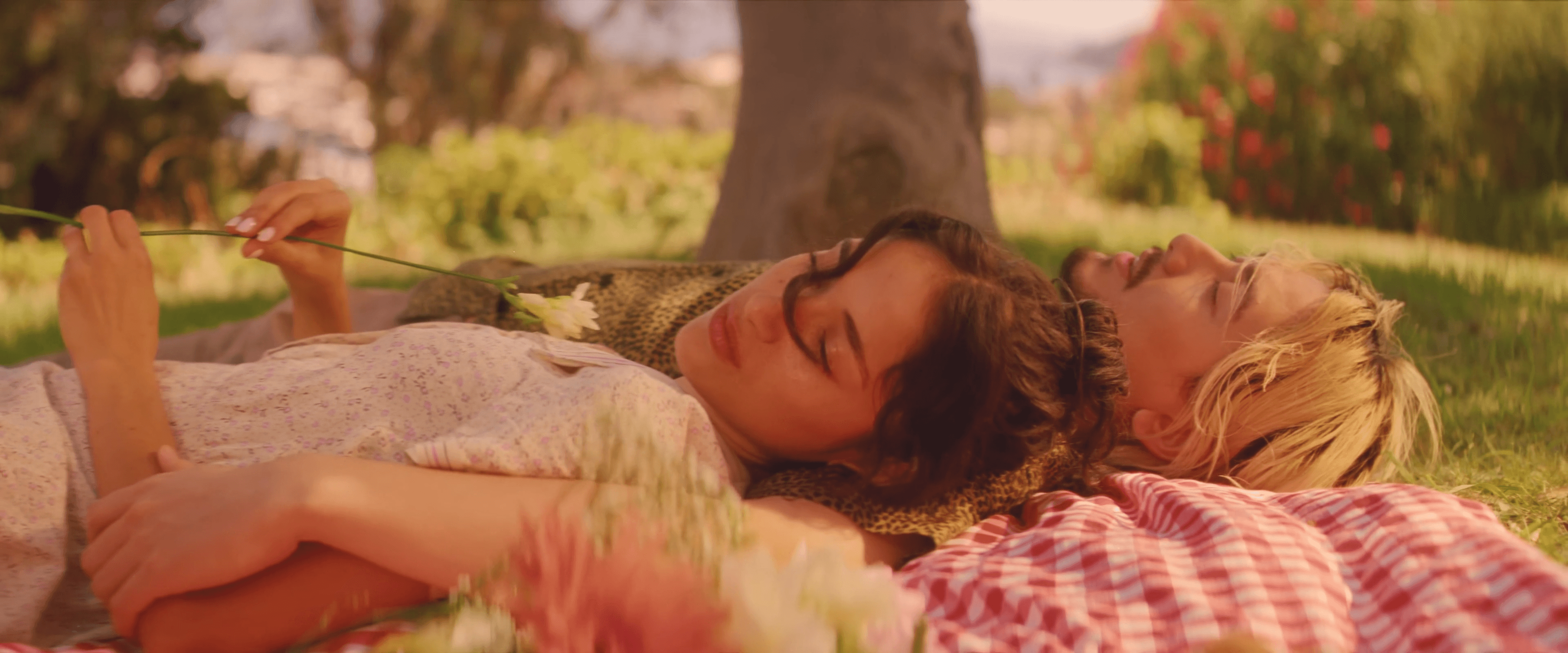 Family picking apples from a tree in an orchard.