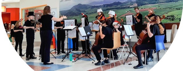 Cairns String Orchestra performing live at FNQ Taiwanese Festival on outdoor community stage