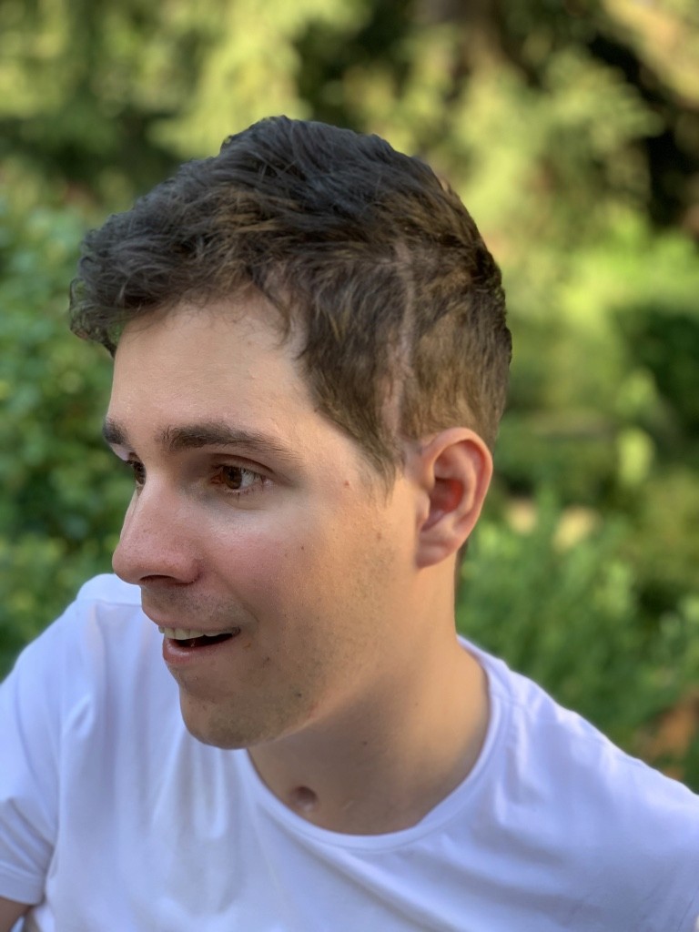 wheat in shallow focus photography