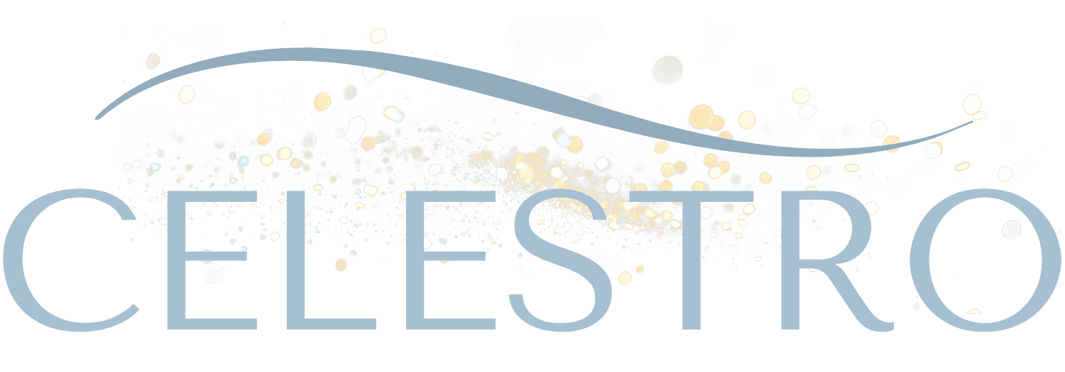 Celestro. Wedding and event entertainment.