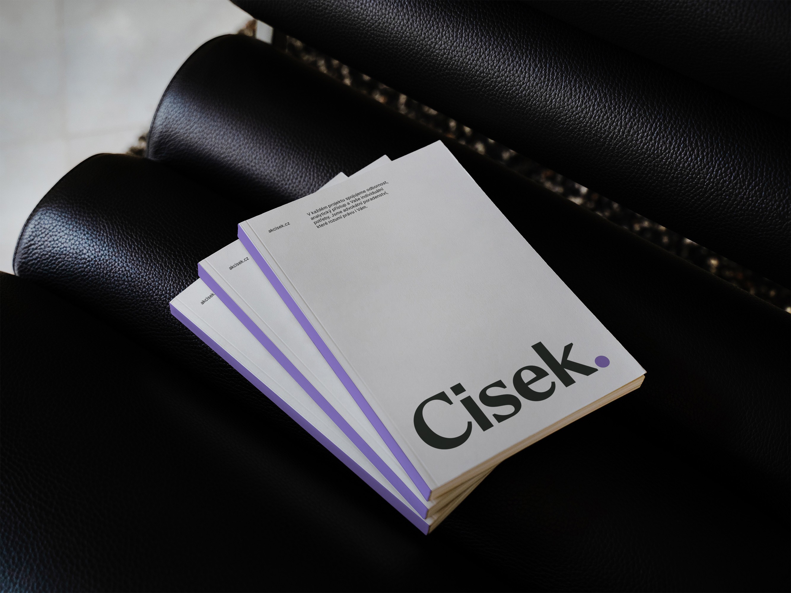 Less & Better - AK Cisek - Design Bod