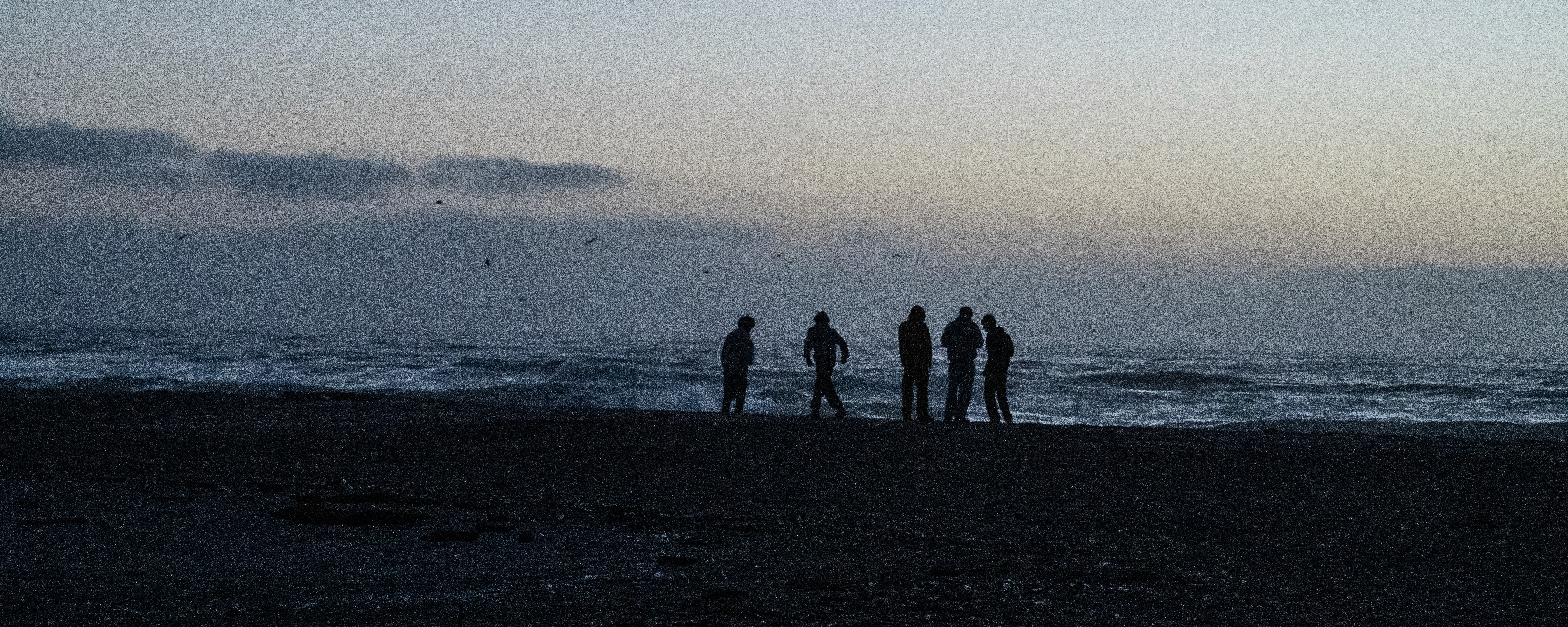 FRIENDS. NIKON Z6. FALL 2024. HALF MOON BAY, CA.