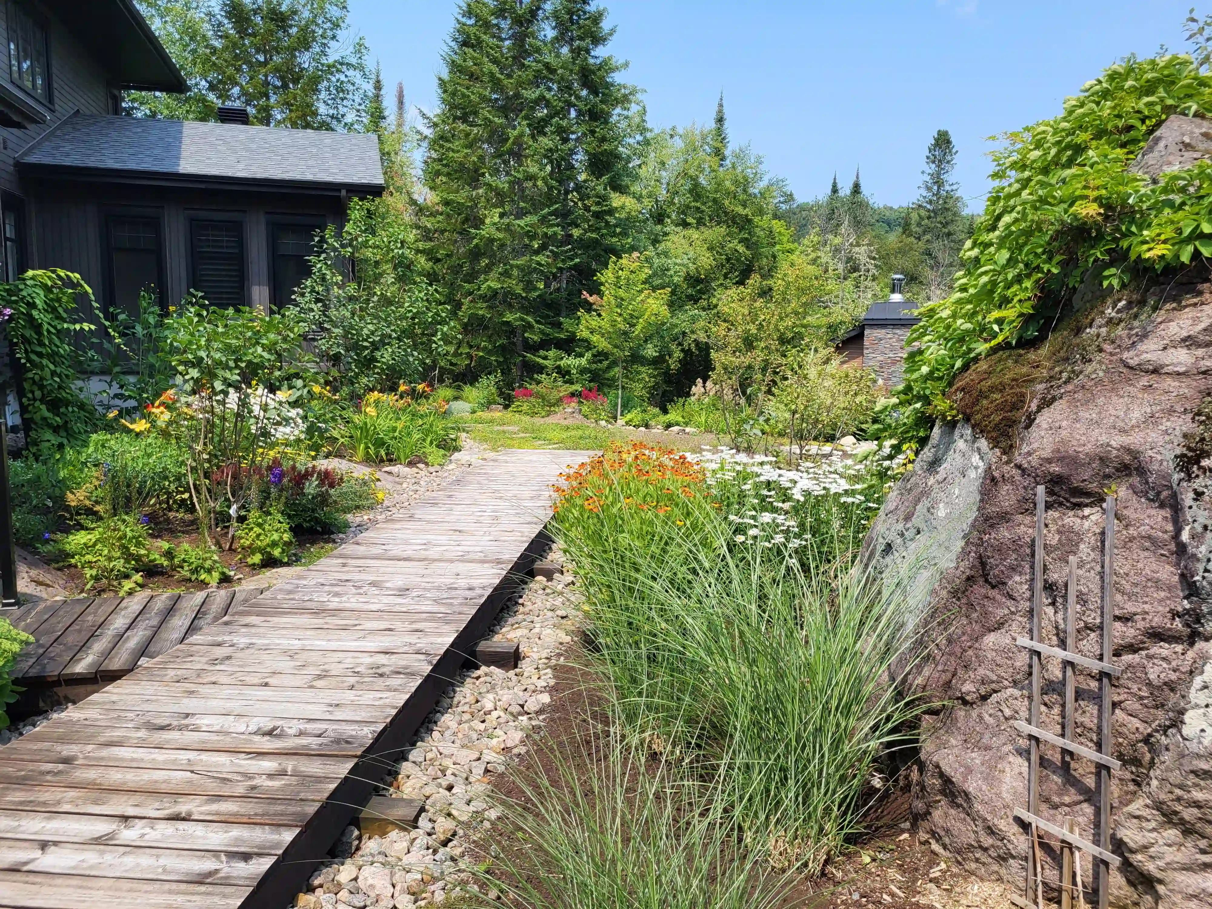 Sunlight streaming through lush green trees, casting shadows on a modern architectural building with glass panels and vertical wooden slats.