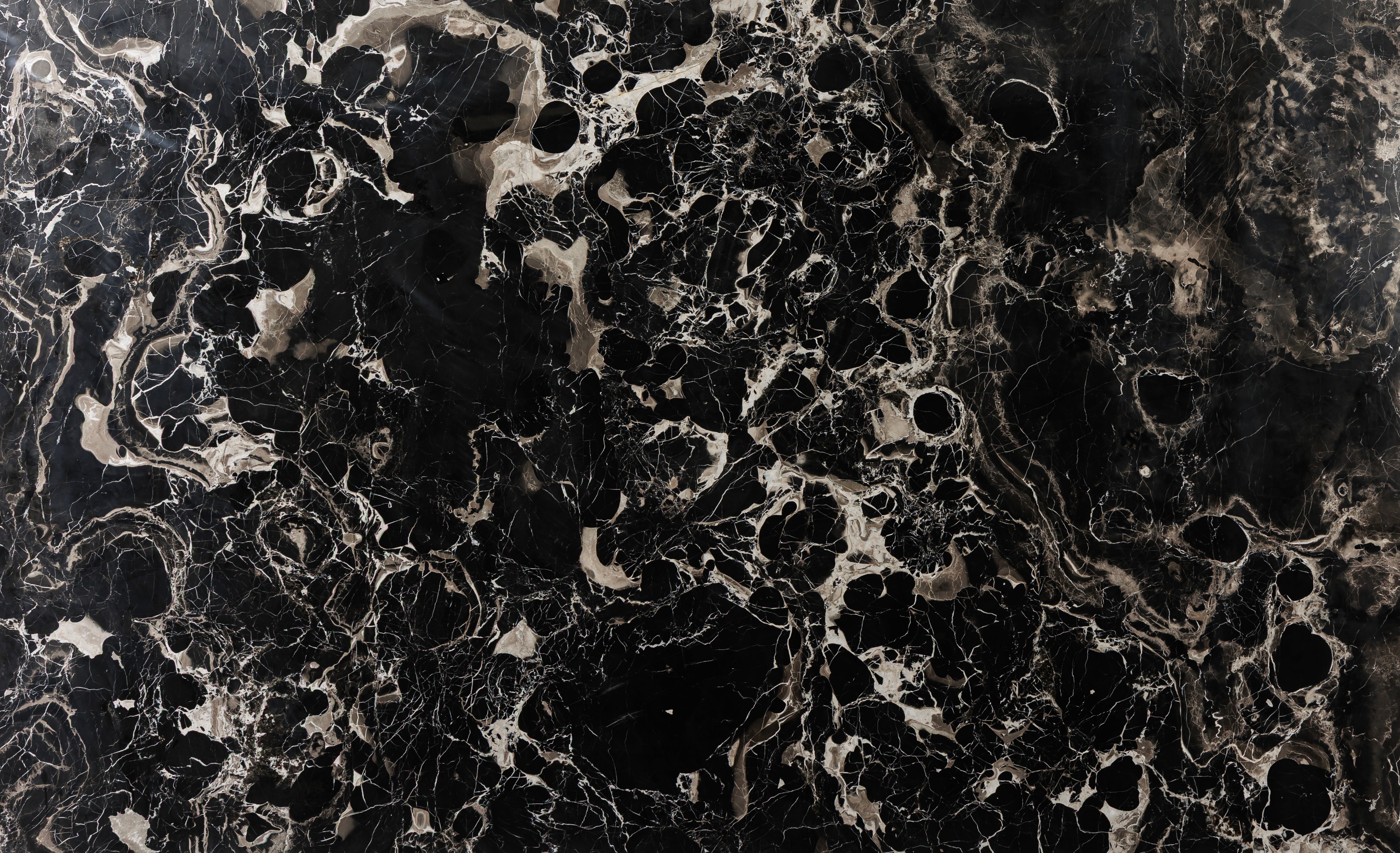 Black Rose