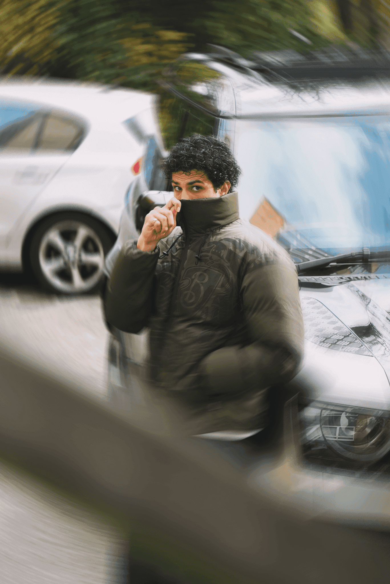 Shiba Inu dog walking on leaf-covered ground