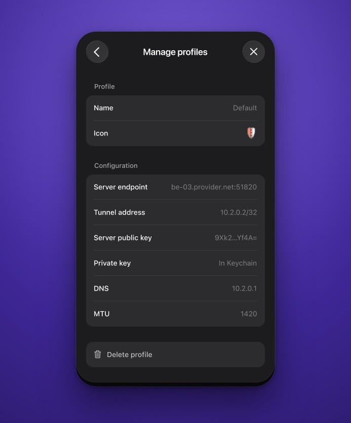 A saved profile, showing endpoint, tunnel address, keys, DNS and MTU