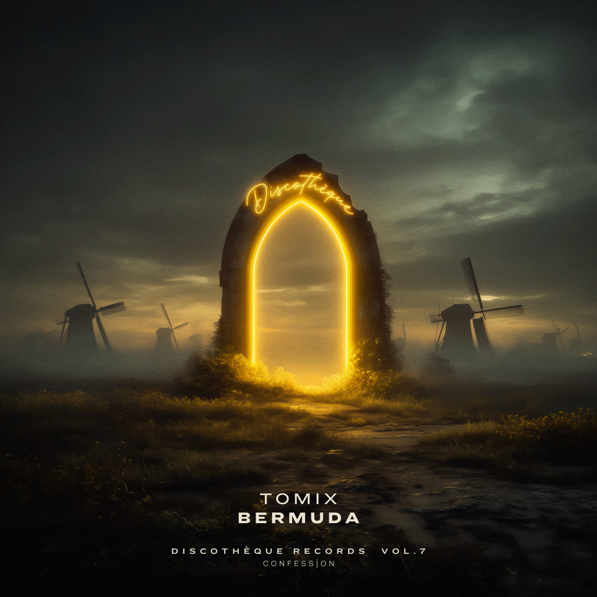 Artwork for ToMix track - Bermuda