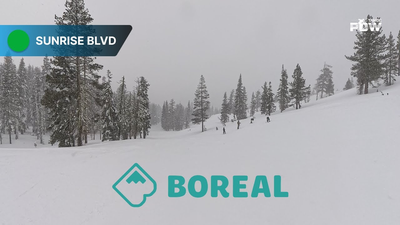 Sunrise Blvd Boreal – Relaxed Beginner Run via Cedar Ridge