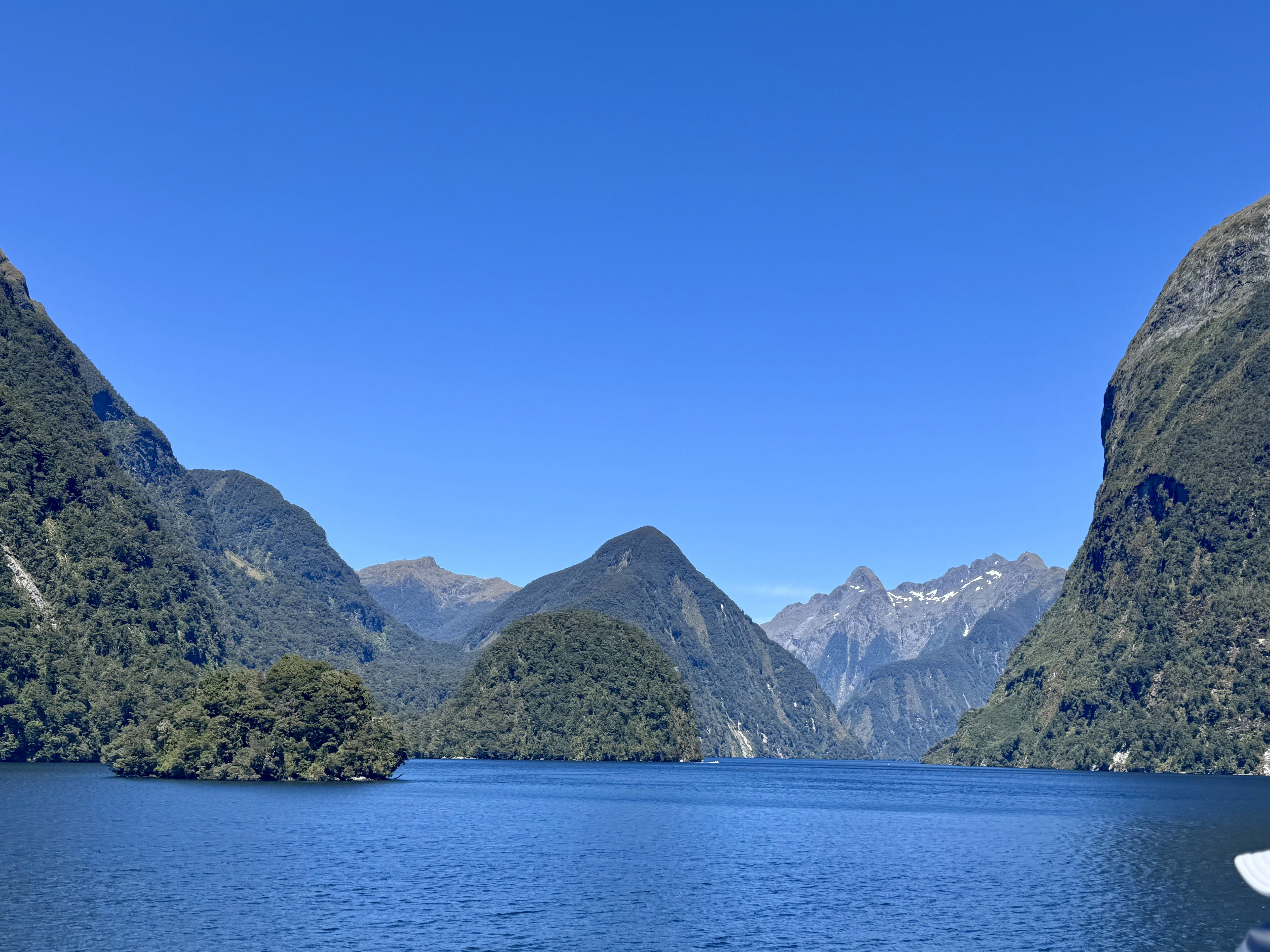 Doubtful Sound as is seen from our catamaran.