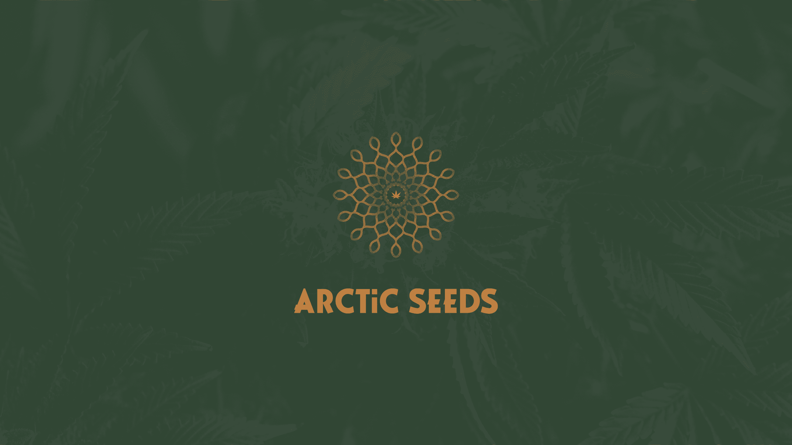 Logo design for Arctic Seeds
