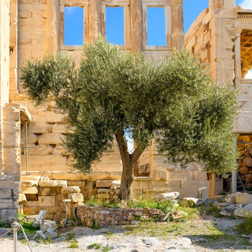 厄瑞克忒翁神庙