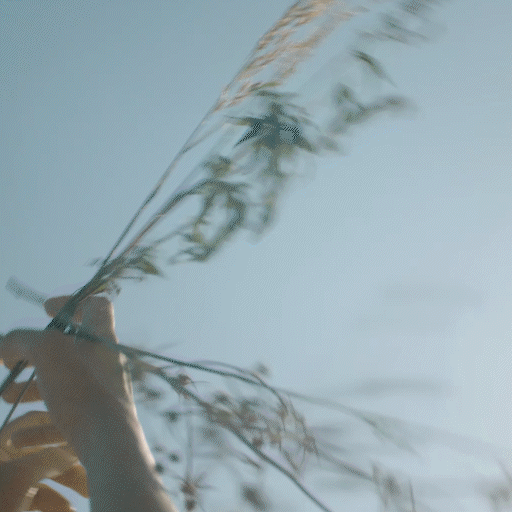 Hotel Photography and Videography