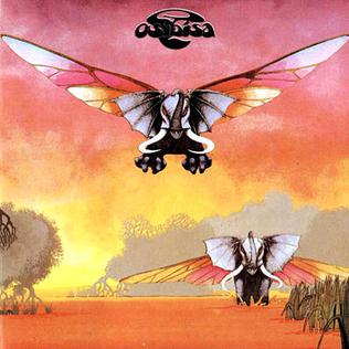 people watching band on the stage