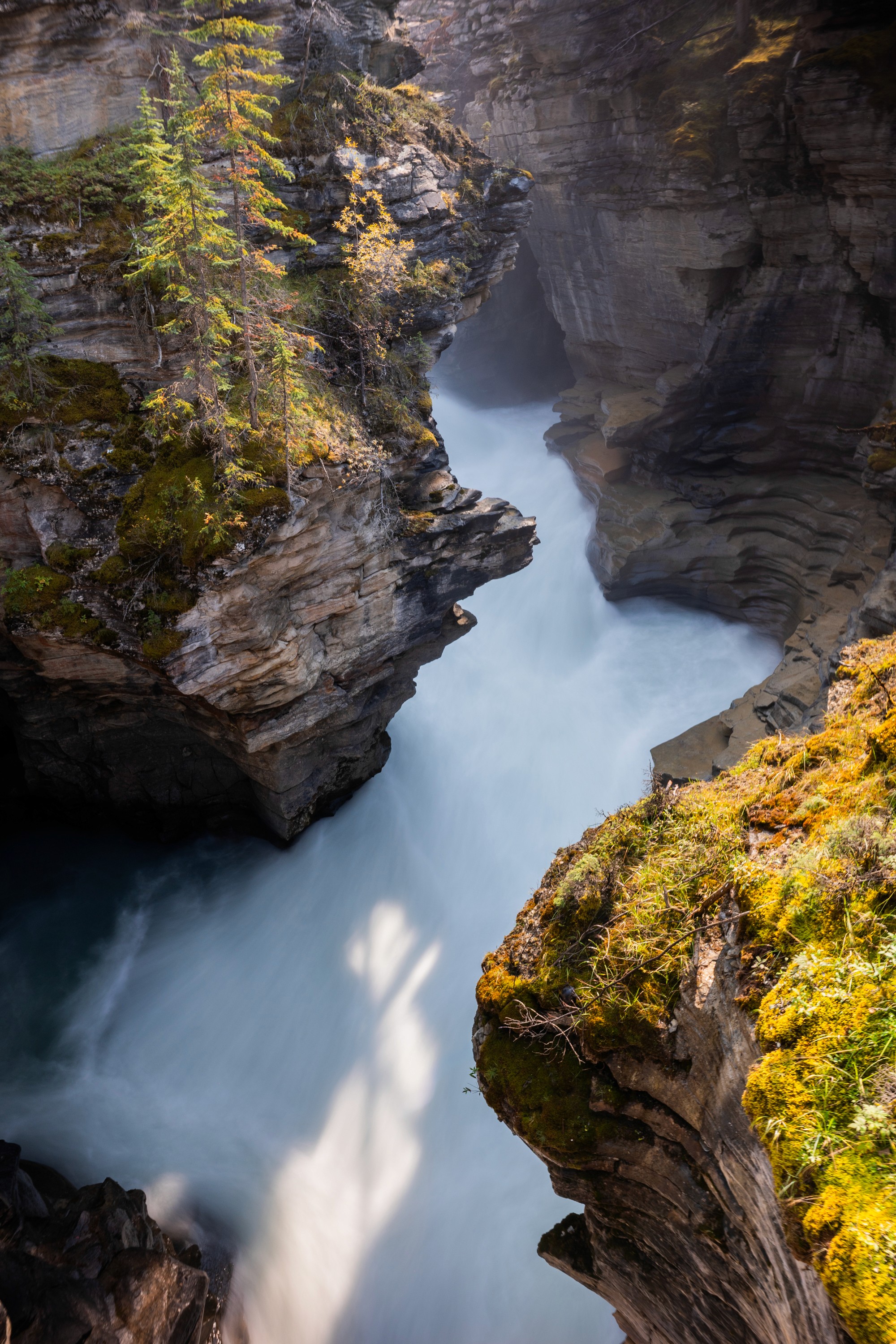 Light in the Chasm