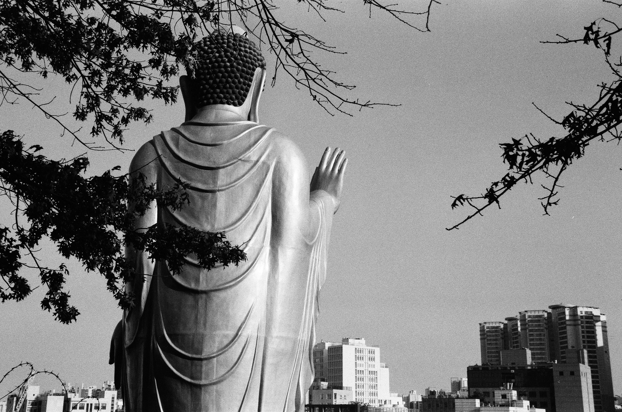Argentique, canon, Korea, photo, homme, téléphone, assis 