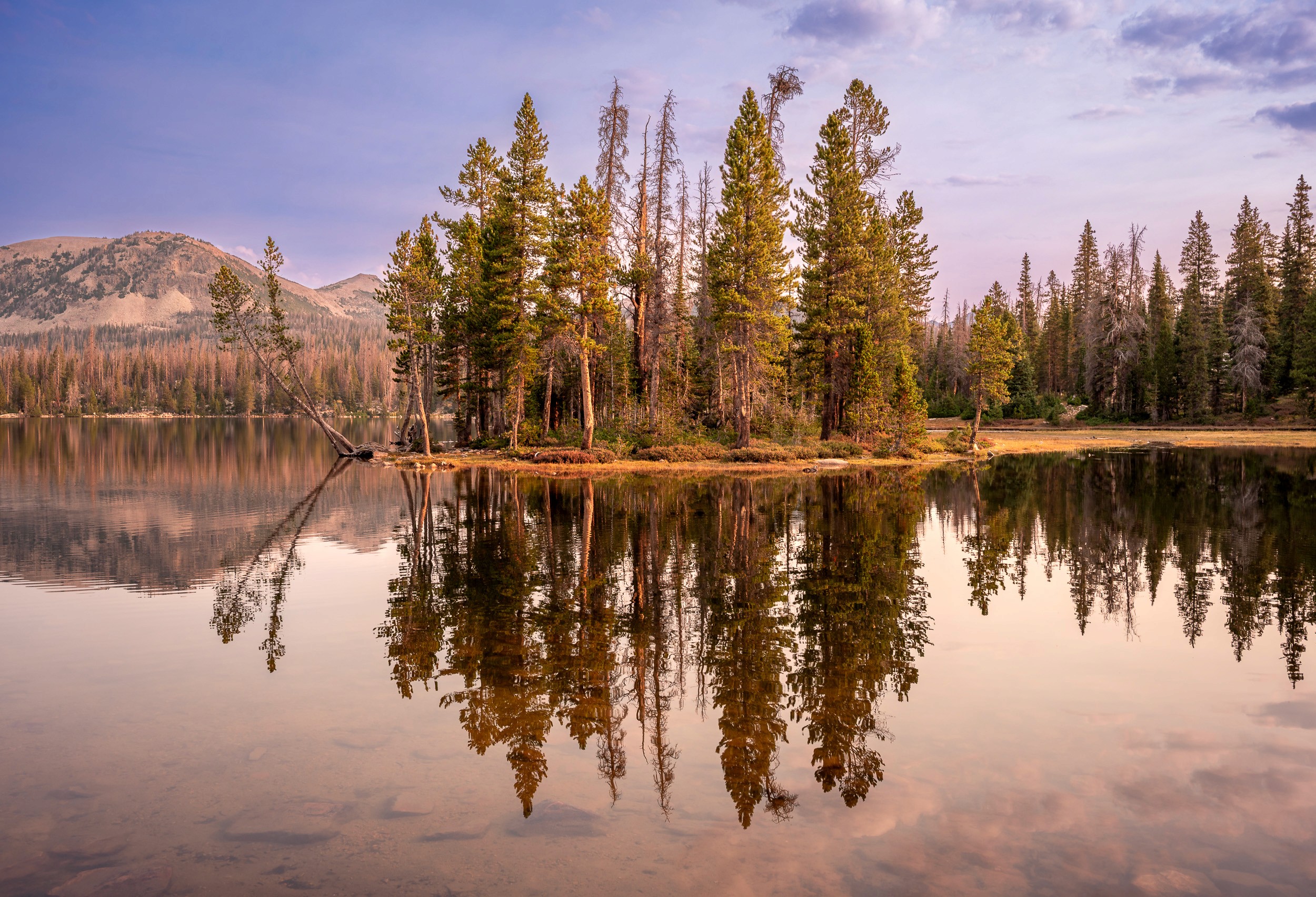 Island in the middle of Mirror Lake. Trees are perfectly mirrored in the calm waters of a late summer sunrise