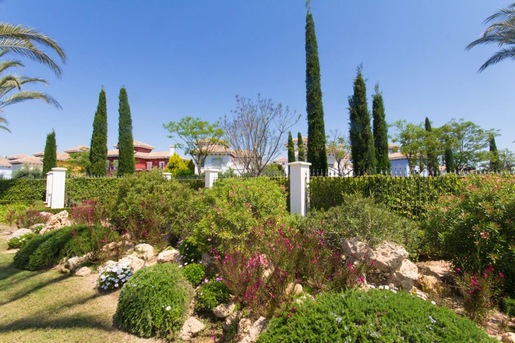 man in black t-shirt holding stainless steel bowl