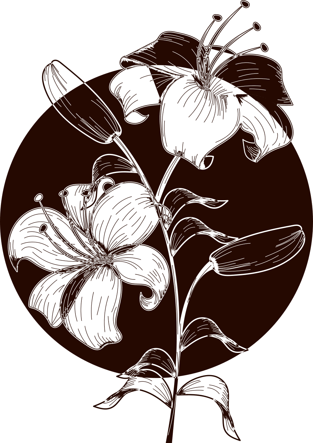 wildflower salon studio logo