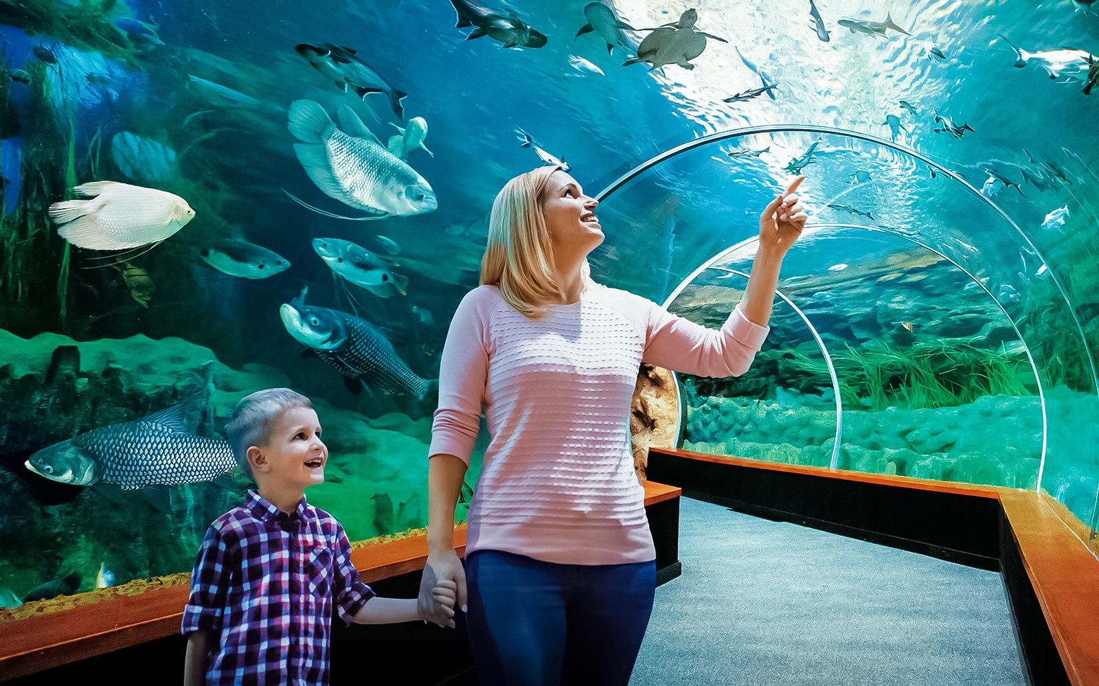 Visitants explorant el túnel submarí a l'Aquarium Poema del Mar.