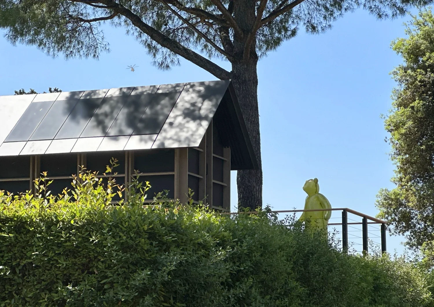 Écolodge Villa Médicis vue de trois-quarts avec sculpture jaune, haie taillée et pins