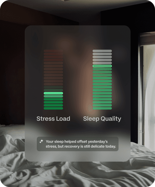 An image of Freelio's project ui
