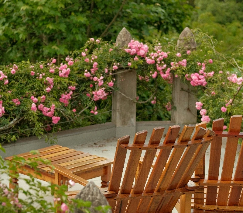 An ornate black metal gate in a lush garden