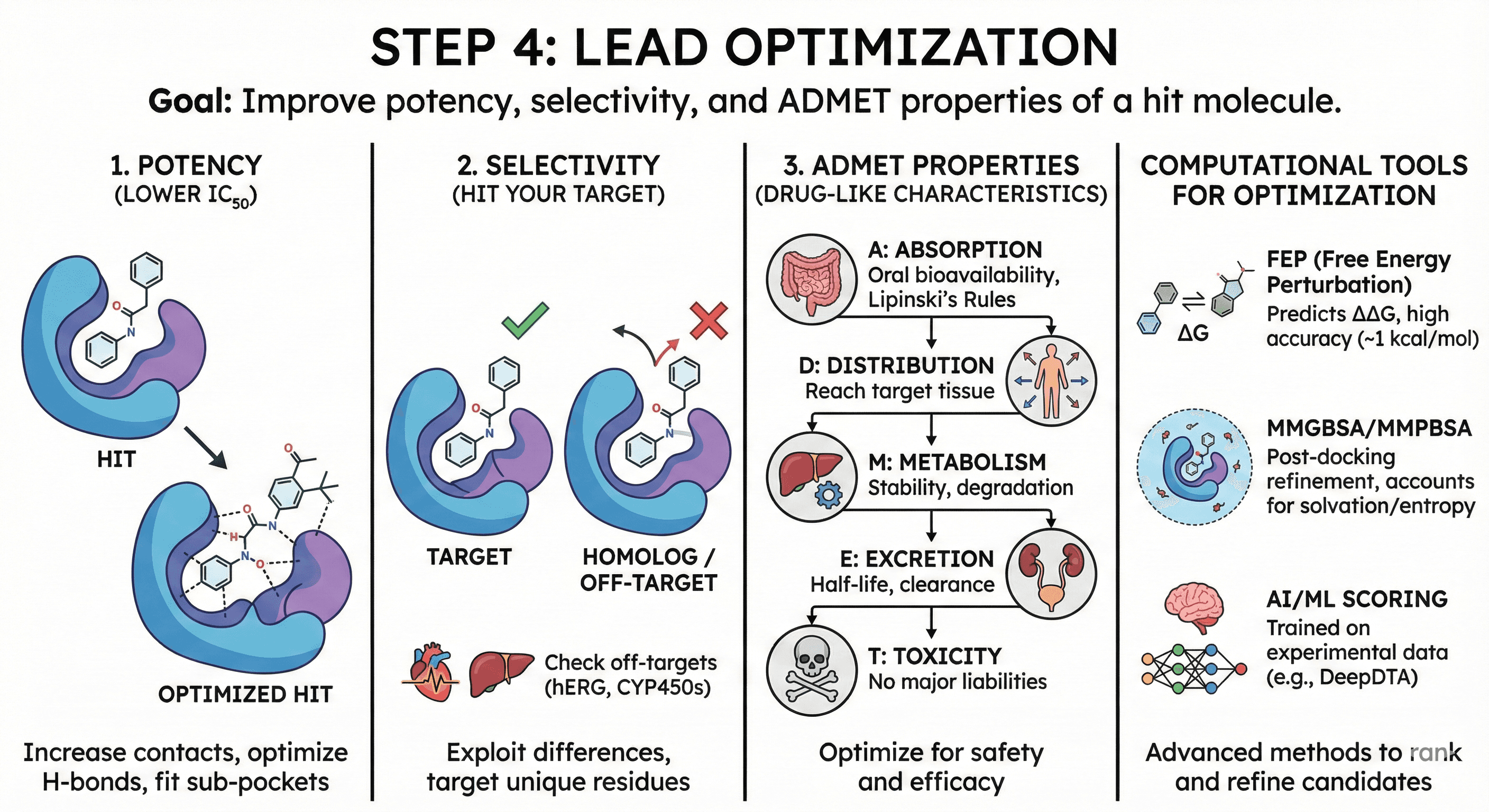 Image Diagram Showcasing Lead Optimization Pillars