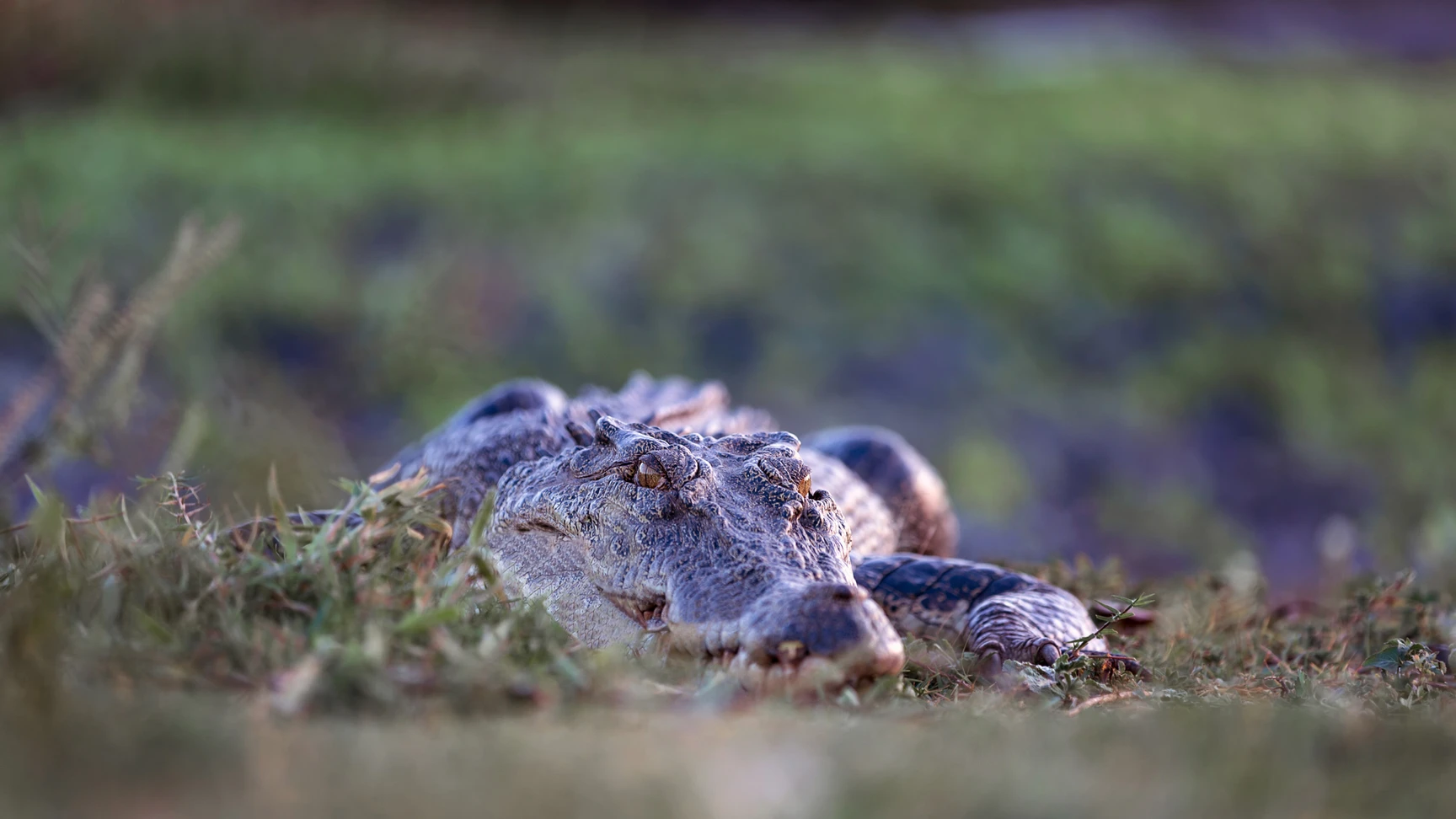 welldone studio en plein travail de production en collaboration avec Production Chaumont 9