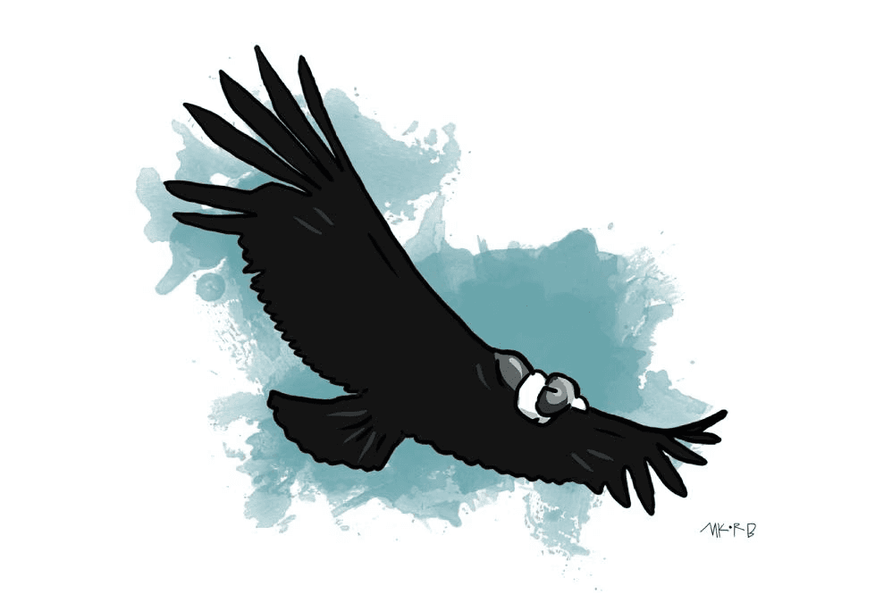 Ilustracion de aves sobre fondos de acuarela