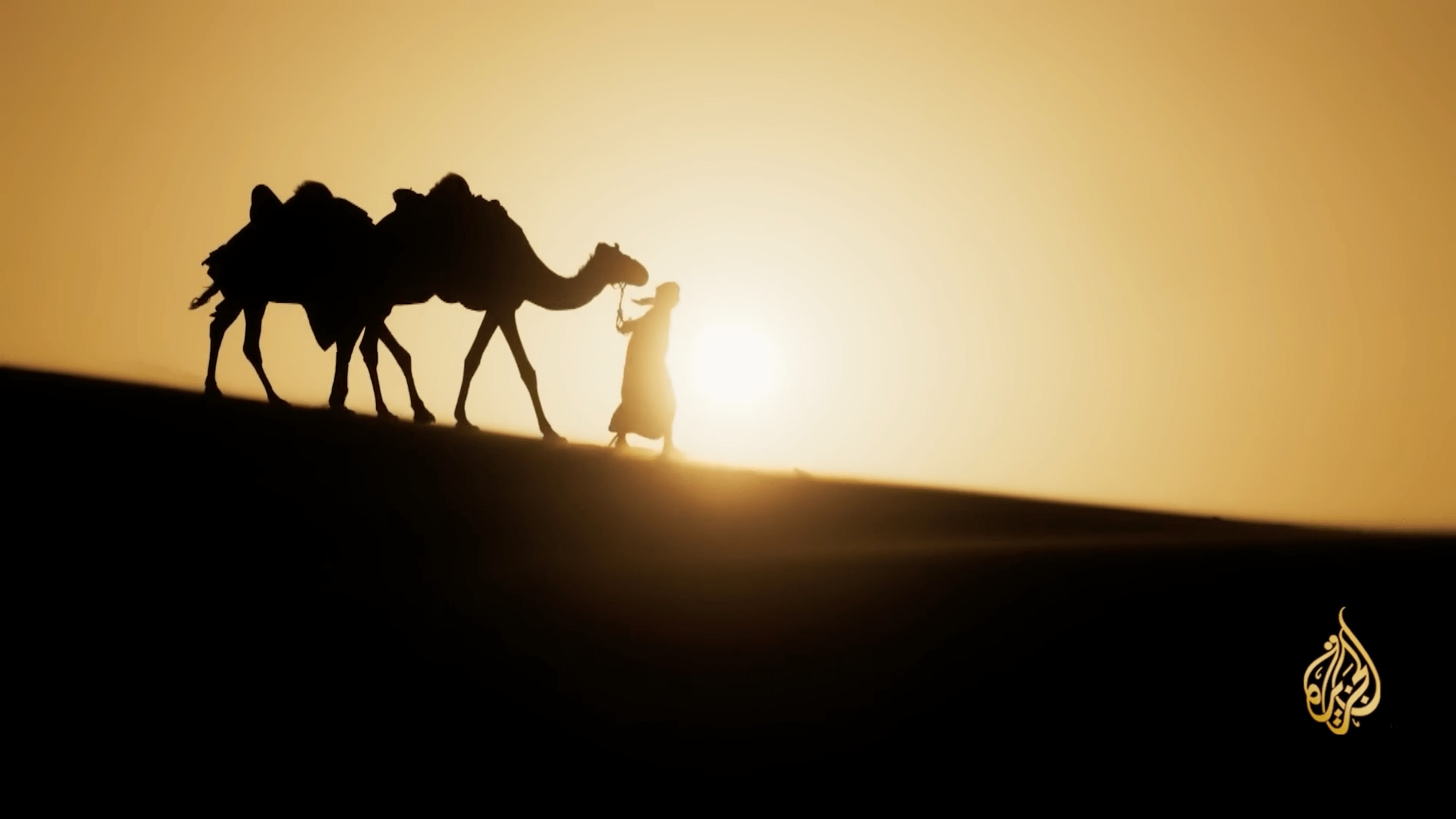 Front cover image for a short film made for Aljazeera depicting a sillouetted man walking a camel in the desert with the sun behind.