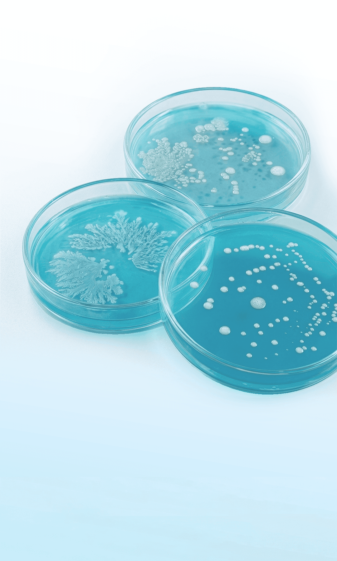 A smiling woman with her arms crossed, standing against a dark green background. She has long, dark hair.