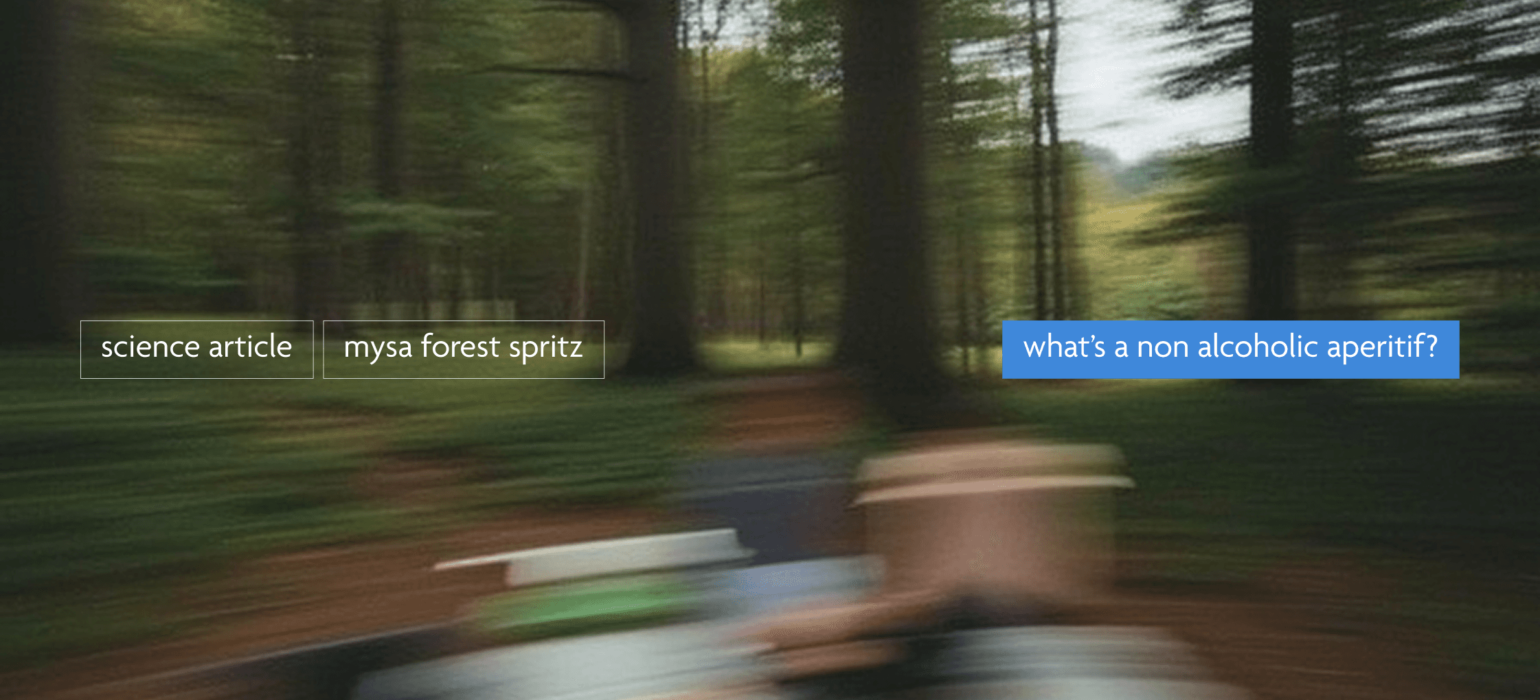 depiction of a moving pic-nic in the forest where mysa, the bold non-alcoholic aperitif spritz is consumed