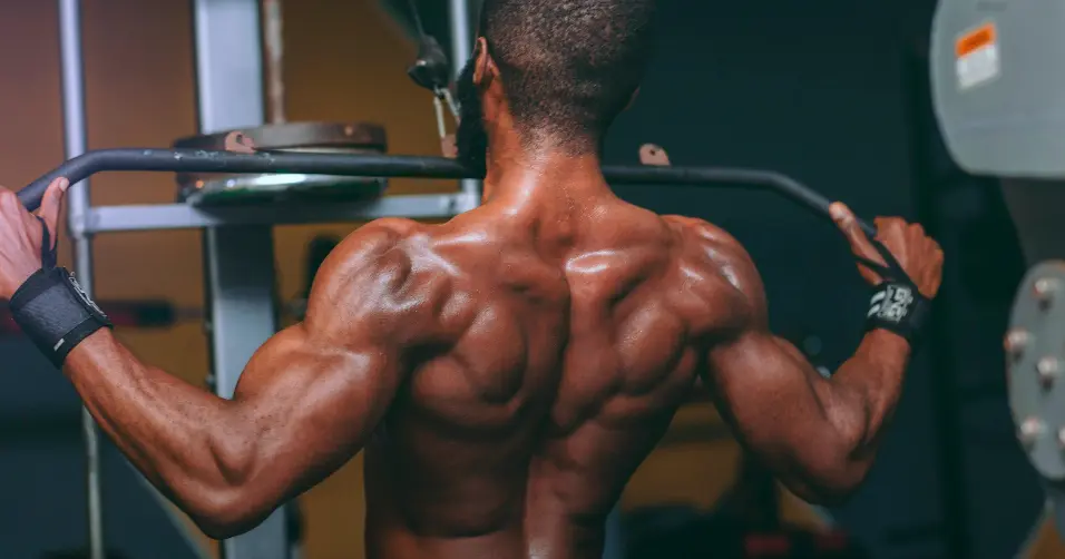 Myostatin inhibitors are compounds that enhance muscle growth by blocking myostatin.