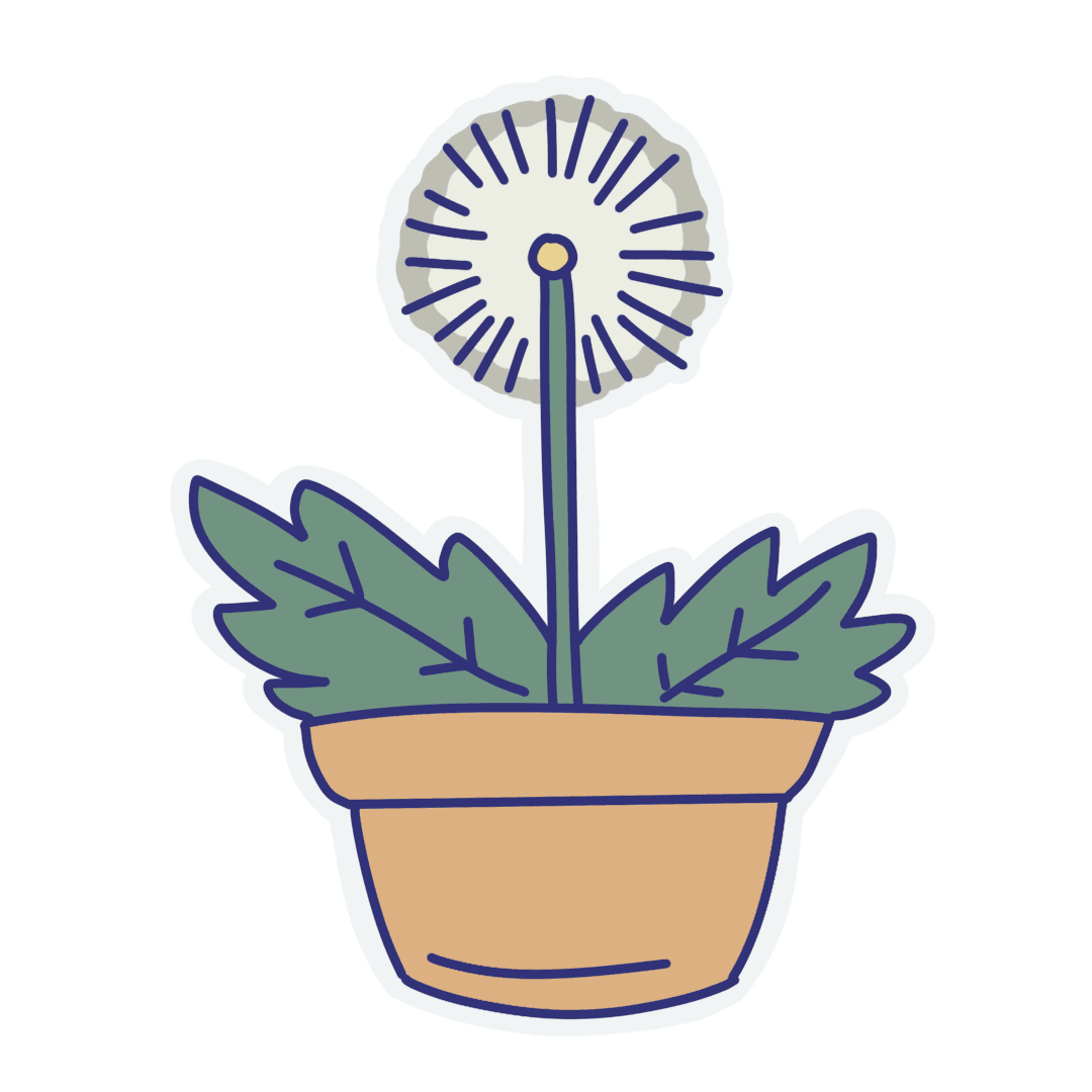 potted dandelion illustration