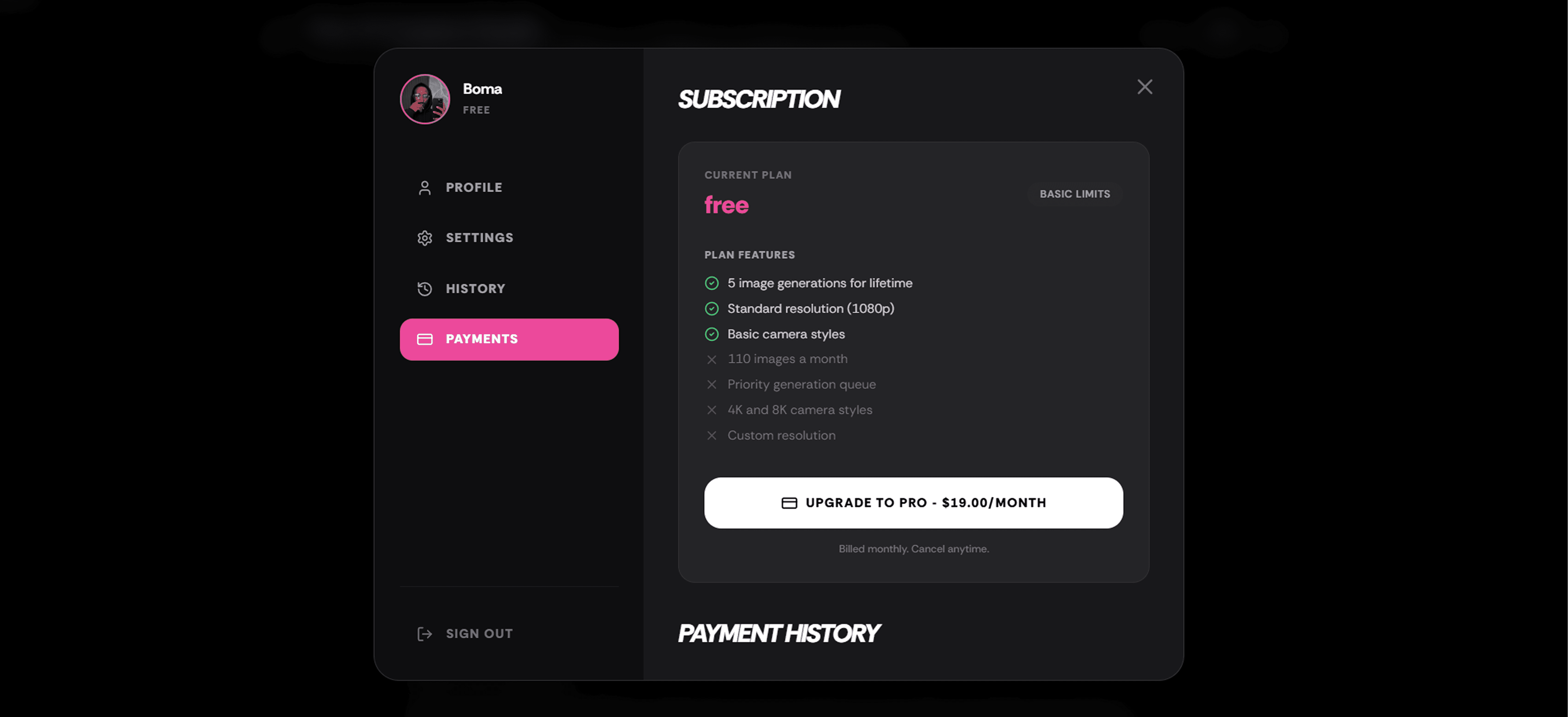 Payment section of the dashboard