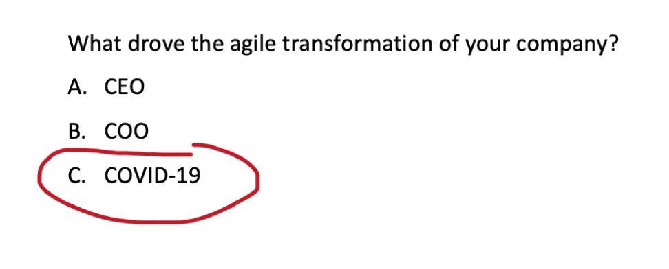 No alt text provided for this image