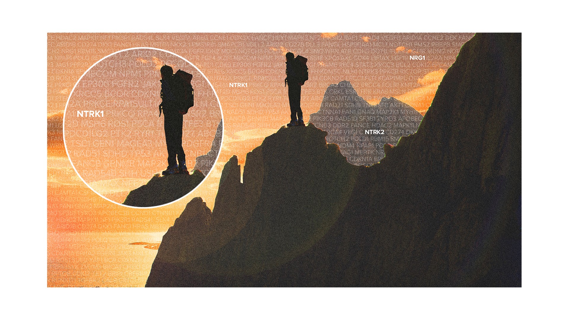 PRSN Creative Concept