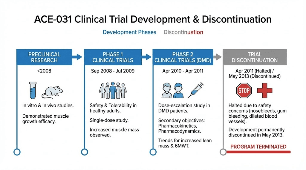 ACE-031 peptide clinical trial timeline and development history