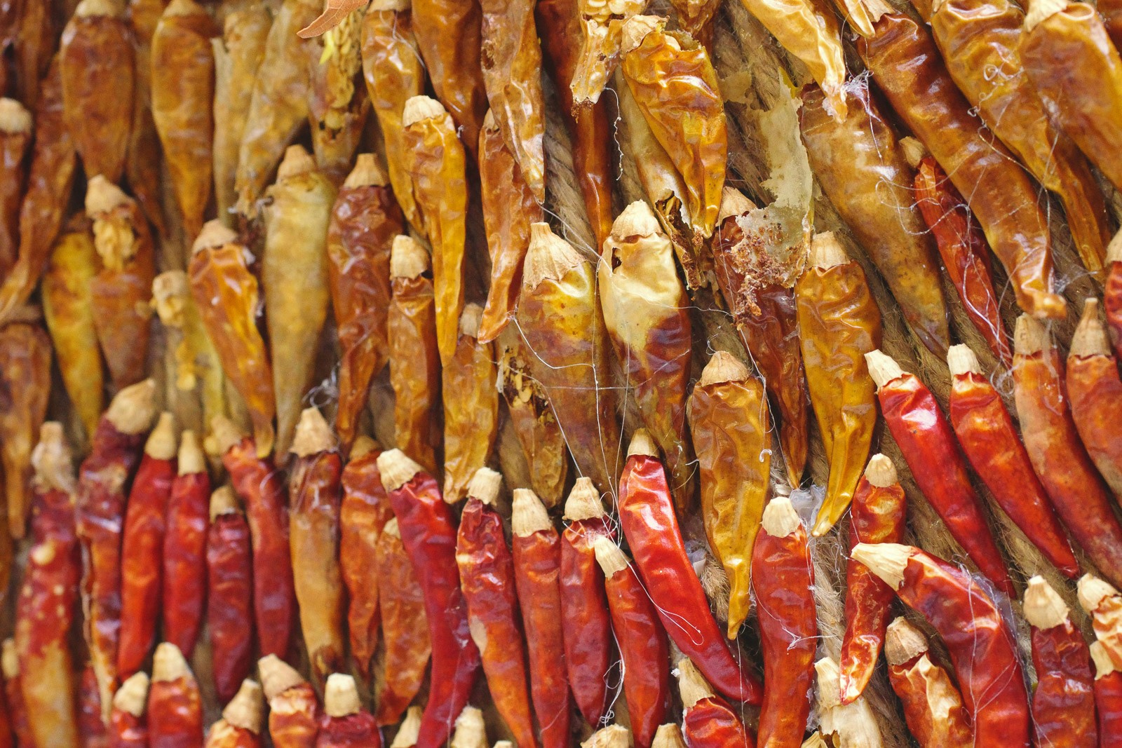 blue and white painted houses on the cliff